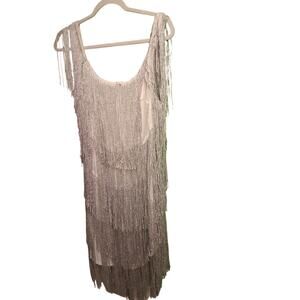 Silver fringe dress
